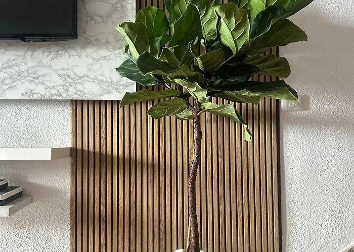 Casa Padron! Paraiso Junto Al Mar בית נופש *