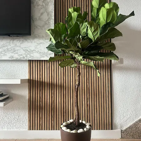 Casa Padron! Paraiso Junto Al Mar Hébergement de vacances *